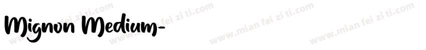 Mignon Medium字体转换